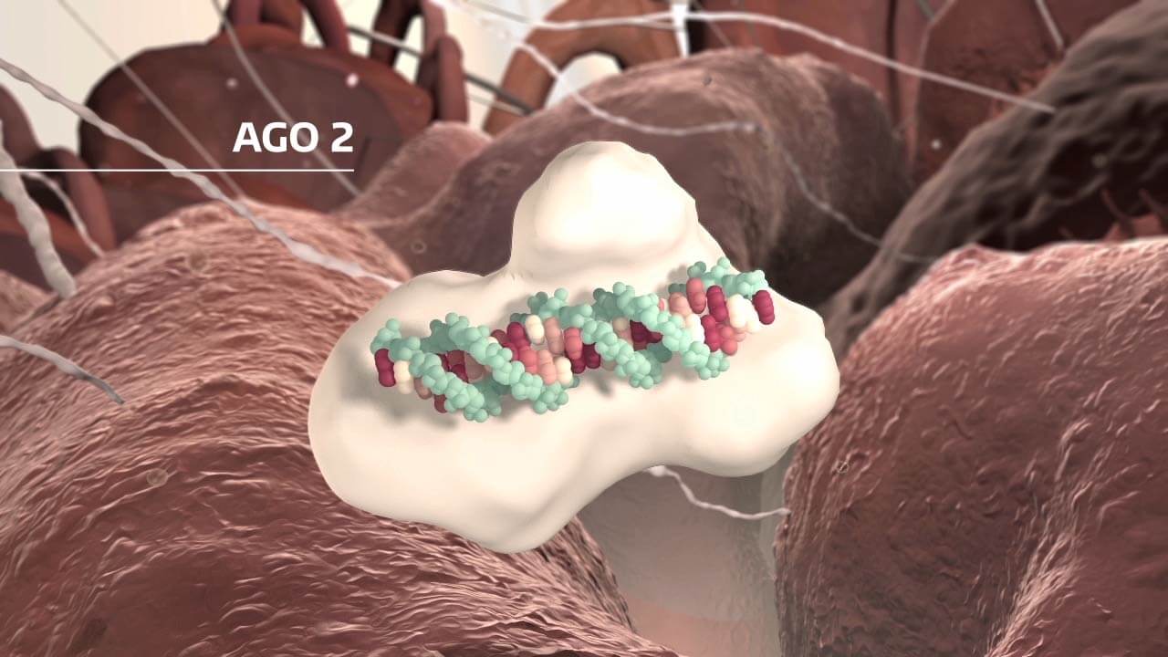 Rendering aus medizinischen Animation Protein mit microRNA