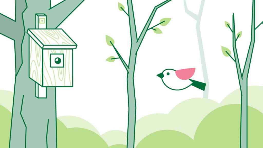 Titelbild Erklärvideo Natur im Garten zum Thema Nistkasten