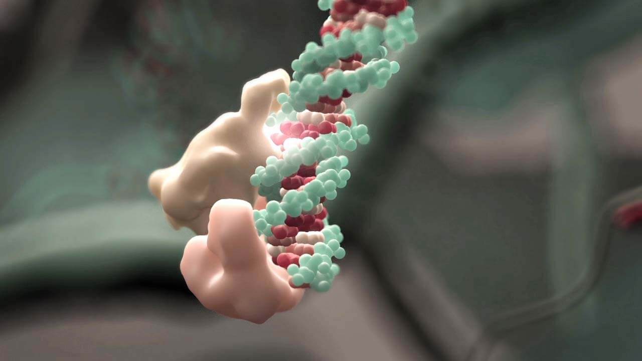 Grafik aus medizinisches Erklärvideo Enzyme mit microRNA